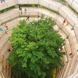 Baumwipfelpfad Insel Rügen