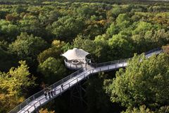 Baumkronenpfad Nationalpark Hainich