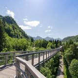 Baumkronenpfad, Ziegelwies