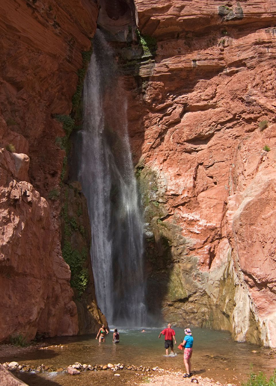 DEER CREEK Wasserfall, Grand Canyon DEER CREEK Wasserfall, Grand Canyon
