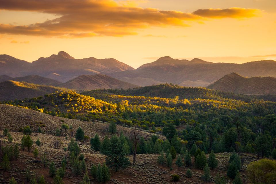 Flinders Ranges, Australien