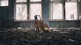 Adrian Bliss / Wildlife Photographer of the Year