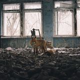 Adrian Bliss / Wildlife Photographer of the Year