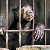 Emily Garthwaite / Wildlife Photographer of the Year