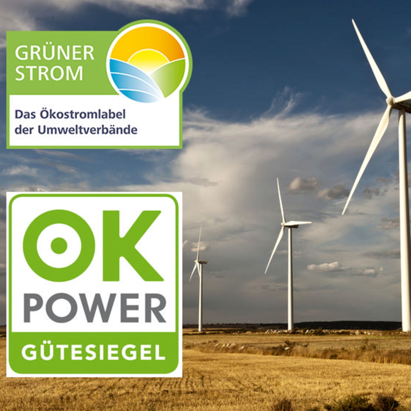 Hinweisschild "Diese Anlage Läuft Mit Grünem Strom" – Selbstklebend, 40x40 Cm, Für Innen & Außen