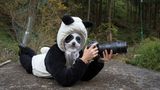 Ami Vitale - Pandas