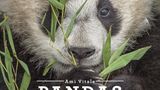 Ami Vitale - Pandas