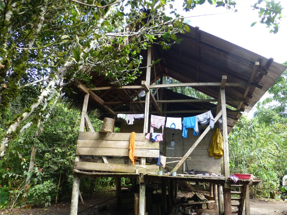 Ecuador: Die Projektbegünstigten leben im Regenwald von Napo, weitgehend in Einklang mit der Natur Ecuador: Die Projektbegünstigten leben im Regenwald von Napo, weitgehend in Einklang mit der Natur