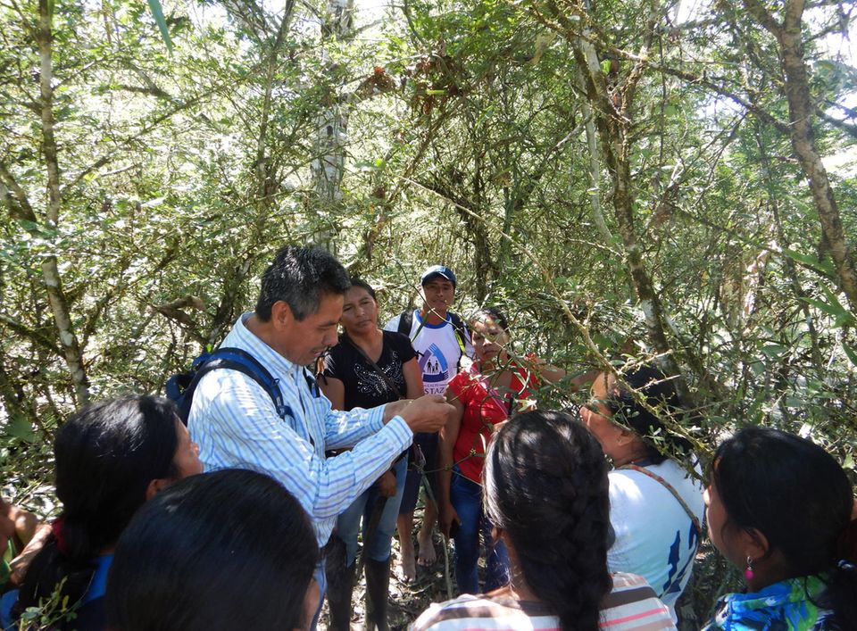 Ecuador: Bereits im Sommer 2018 beginnt ein Agronom mit langjähriger Vanille-Expertise aus Mexiko das Projektteam und die Produzenten weiterzubilden und zu beraten Ecuador: Bereits im Sommer 2018 beginnt ein Agronom mit langjähriger Vanille-Expertise aus Mexiko das Projektteam und die Produzenten weiterzubilden und zu beraten