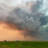 Dennis Oswald - Wizard of Oz