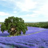 Zauberhütten, Gestalten 2018
