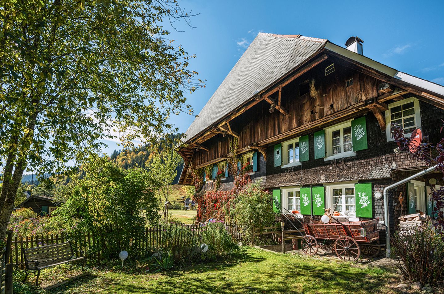 Menzenschwand in Baden-Wüttemberg Menzenschwand