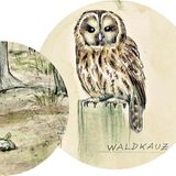 Waldkauz