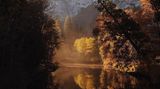 Herbst im Yosemite National Park