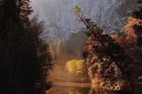 Herbst im Yosemite National Park