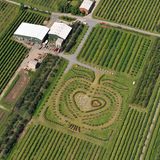 Herzapfelhof Altes Land