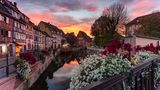 Colmar