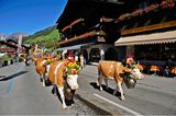 Lenk