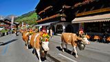 Lenk