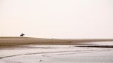 Renesse