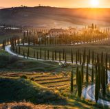 Hügellandschaft der Toskana im Sonnenlicht
