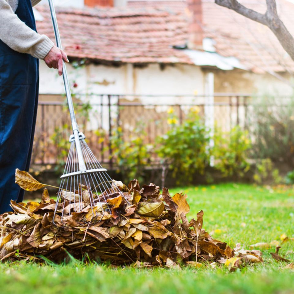 Gartenarbeit im Herbst