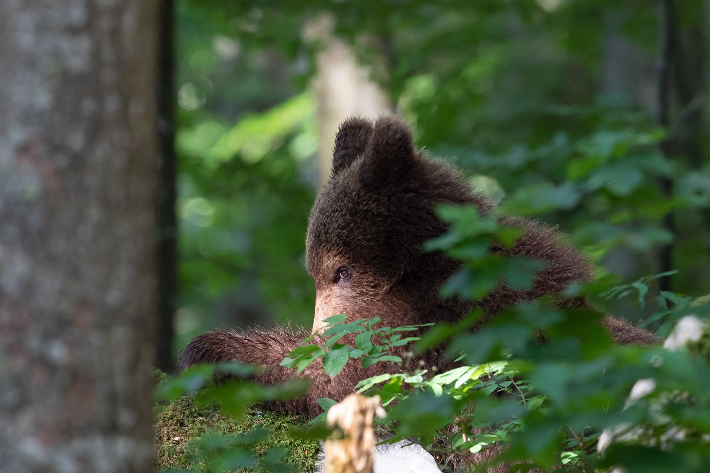 GEO Leserfoto: Die besten Leserfotos: September 2018 - Bild 6