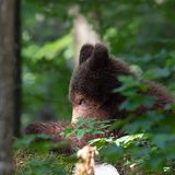 GEO Leserfoto: Die besten Leserfotos: September 2018 - Bild 6