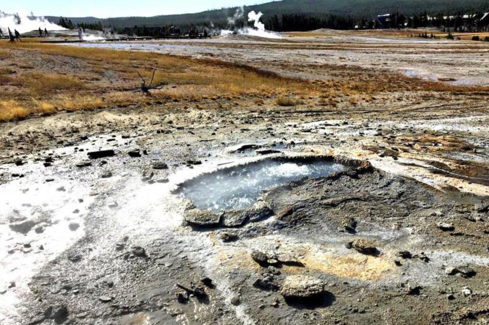 Ear Spring, Geysir