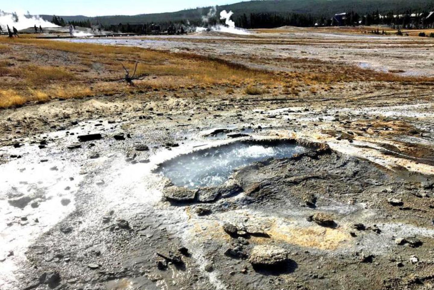 Ear Spring, Geysir
