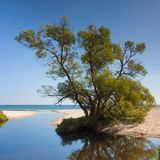 Fluss Verkean, Havaeng, Brösarp, Skane, Schweden