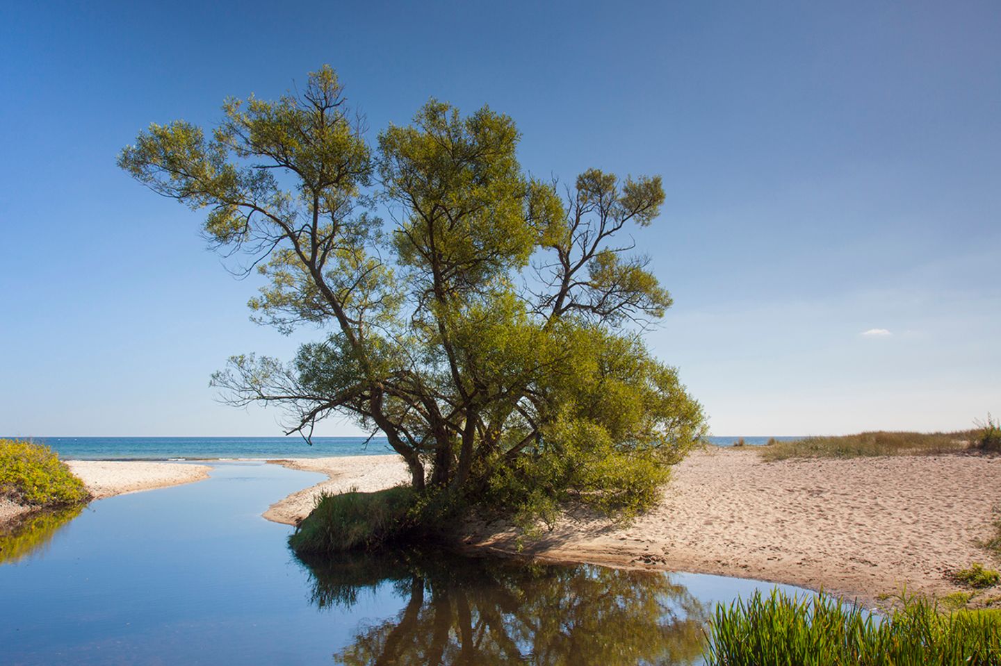 Fluss Verkean, Havaeng, Brösarp, Skane, Schweden