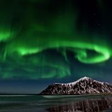 Polarlichter auf den Lofoten