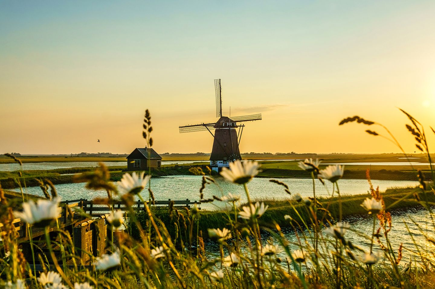 Verträumte Windmühle auf Texel