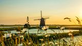 Verträumte Windmühle auf Texel