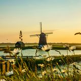 Verträumte Windmühle auf Texel