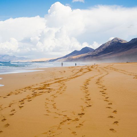 Fuerteventura