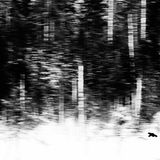 GDT ENJ 2018, Jan van der Greef