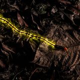 GDT ENJ 2018,Christian Wappl