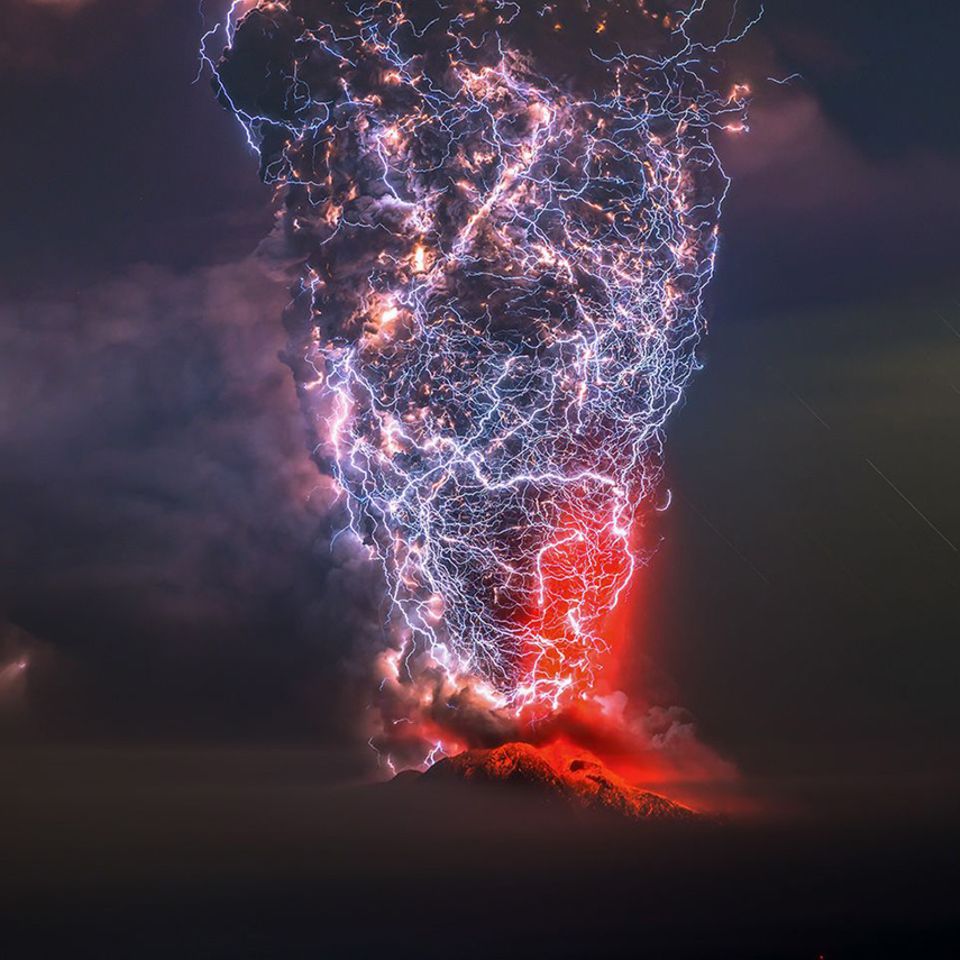 El Calbuco, Francisco Negroni