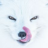 Peter Mather/Siena International Photo Awards