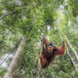 Marco Gaiotti /Siena International Photo Awards