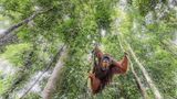 Marco Gaiotti /Siena International Photo Awards