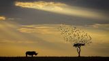 Khaichuin Sim/Siena International Photo Awards