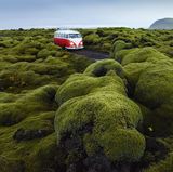 Roter Bulli auf Island