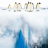 Andrew Peacock/Siena International Photo Awards