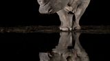 Fahah alenezi /Siena International Photo Awards