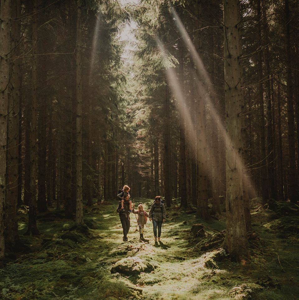 Wanderung, Fulltofta, Skane