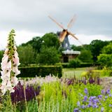 Malmö, Trädgården