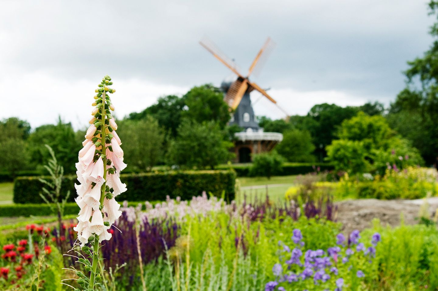 Entspannen im Schlossgarten Malmö, Trädgården